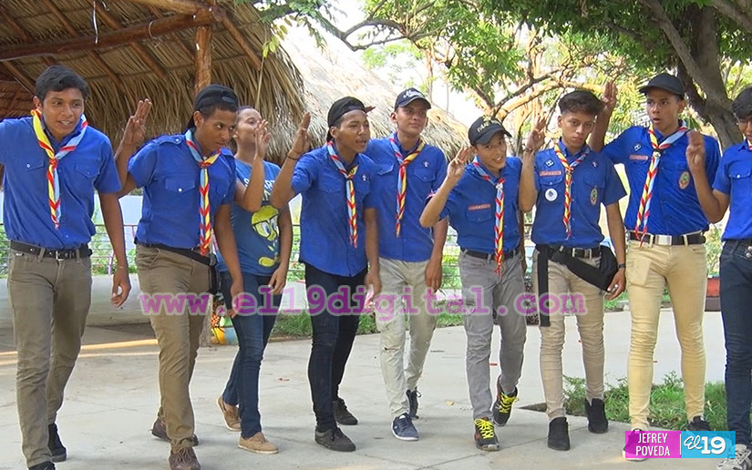 scout